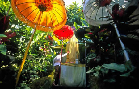 Amandari - Balinese sunshades and temple