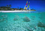 Amanpulo - Amazing underwater world