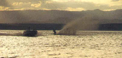 Island Camp - Water skiing on Lake Baringo at sunset