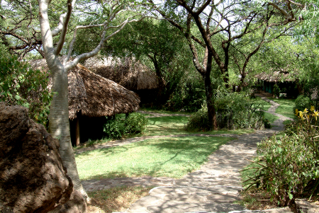 Lush gardens on the island