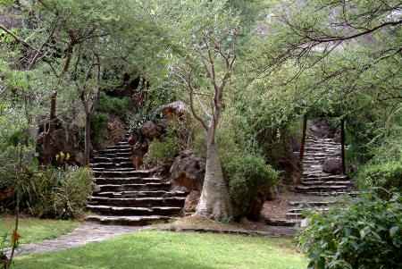 Romantic gardens on the island