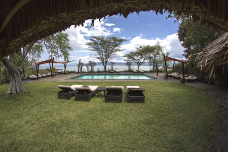 Swimming pool with a view