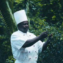 Chef in his spice garden