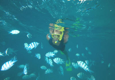 Diving in Ste. Anne Marine Park around Cerf Island