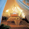 Clayoquot Wilderness Resorts - Bedwell River Outpost - Guest tent