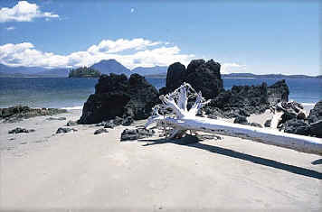 Clayoquot Wilderness Resorts - Unspoiled beach