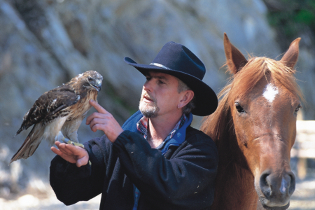 Hawk and horse