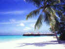 Coco Palm Dhuni Kolhu - View of the overwater suites from the beach