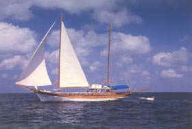 Coco Palm Yacht