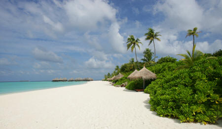 Coco Palm Dhuni Kolhu