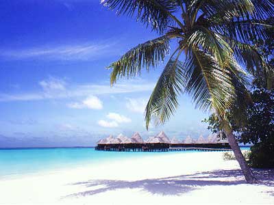 White sandy beaches & Overwater villas