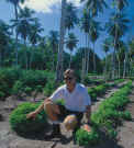 Fregate Island Private - Potager de l'le