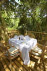 Fregate Island Private - Dner sur la terrasse de la Tree House