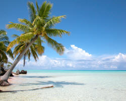 Tahiti Nui Travel (French Polynesia)