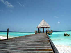 Click on the picture to discover the resort