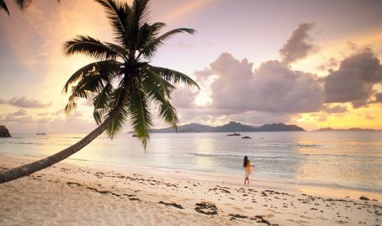 Une plage de La Digue