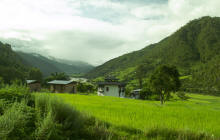 Amankora Punakha - Rgion fertile de Punakha