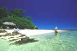 Wadigi Island Resort - Snorkeler & Beach